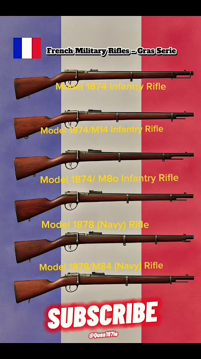 French Gras Rifles (1874–1878)