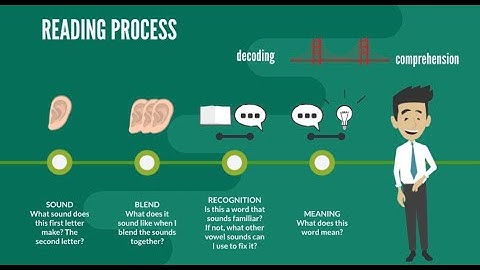 The Reading Brain: Understanding the Science Behind Word Recognition