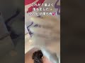 【トイレの黄ばみと青サビ】身近にあるもので短時間でバッチリ綺麗に♪#トイレ掃除 #shorts