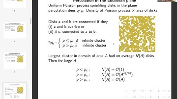 Bernard Nienhuis, Universality in the hyperbolic plane