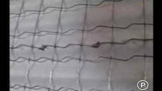 Stire Difuzata La Pro Tv Iasi - 6 Martie 2007