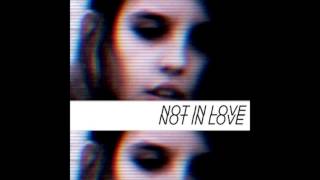 Video thumbnail of "Crystal Castles - Not in love (Album Version, No Vocals)"