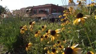 West Loop Neighborhood