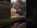 Dogs cute 🥰 #DogTalks #PuppyLove #DogOwners #CuteDogs #DogLife