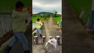 Dog Walked Into Another Dimension Through 3D Art #viral #trending #shorts #illusion