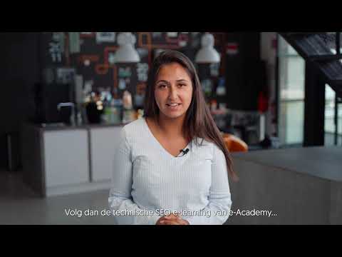 E-learning Technische SEO - Thuiswinkel e-Academy