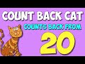Count Back Cat Quiz