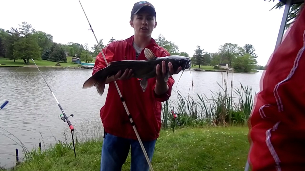 Catfish Heaven YouTube