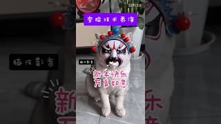 【 变脸大师 2026新年快乐 】#捣蛋猫 #流浪猫 #貓咪 #宠物猫 #cat #搞笑猫 #萌寵 #貓咪日常