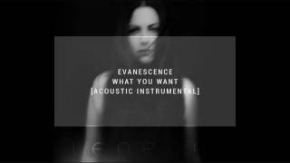 Video thumbnail of "Evanescence - What You Want (Acoustic Instrumental)"