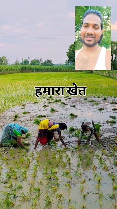 Baithave Chala Dhan ye Saiyan #aslamraja #sorts #video
