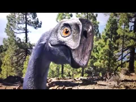 Video: Spousta Toho, Co Vám Bylo řečeno O Dinosaurech, Nebyla Pravda - Alternativní Pohled