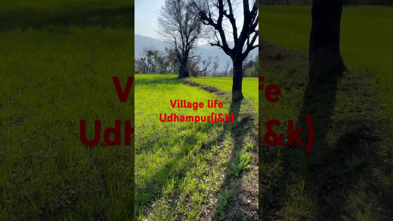 Trending Short village Life Udhampur YouTube Trending Short village Life Udhampur YouTube
