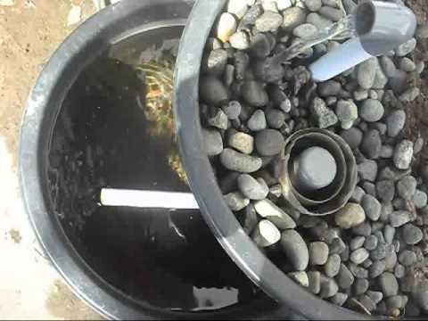 cara membuat akuaponik mini sistem pasang surut ember ...