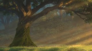 screenshot of the youtube video