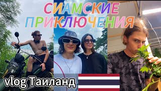 СИАМСКИЕ ПРИКЛЮЧЕНИЯ| Трудности с вылетом , Поиски дома в Тайланде , Дешевые цены (нет)