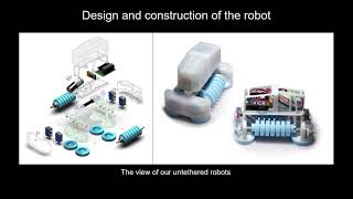 [RAL 2021] An Untethered Crawling Robot via Soft-Rigid Coupled Linear Actuators screenshot 5