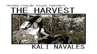 Kali Navales- The Harvest chords