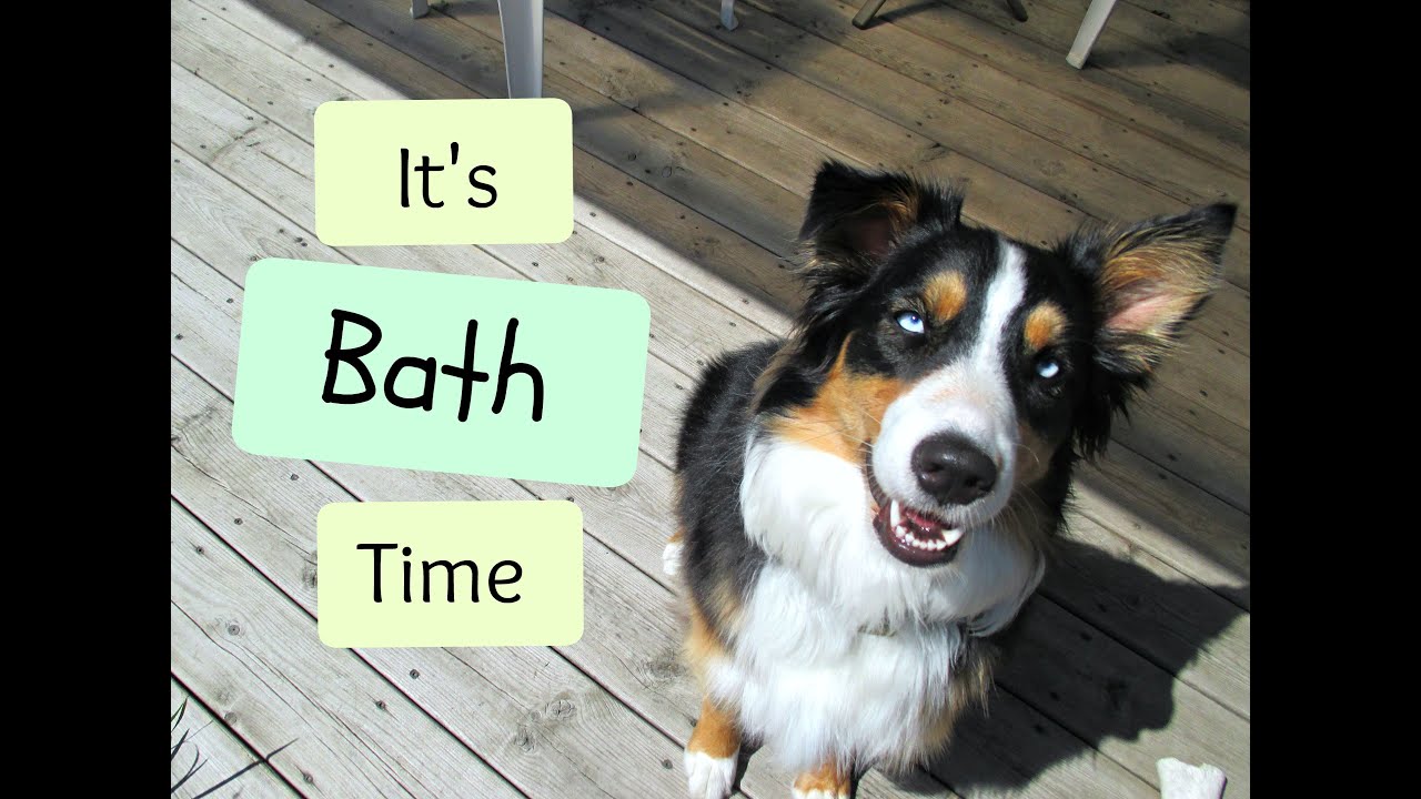 Grooming Time Day In The Life Episode 2 YouTube