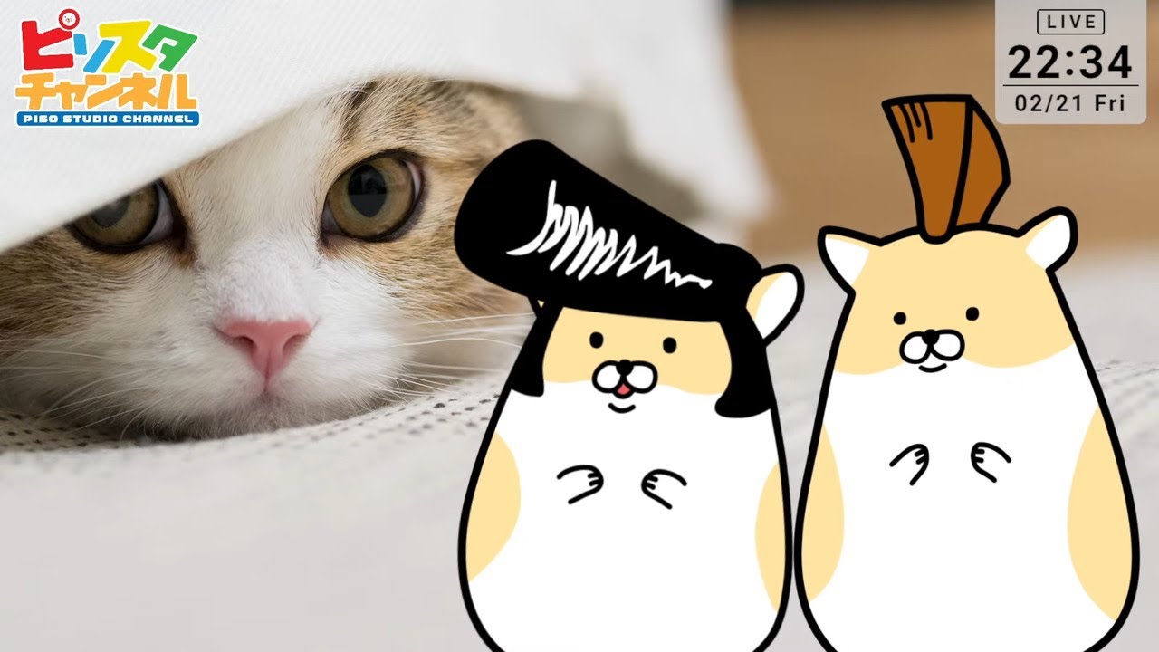 LIVE : ヤンハム】#4 おやすみ、お前ら - 2025年2月21日【ヤンキー