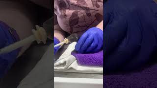 Mink kit feeding