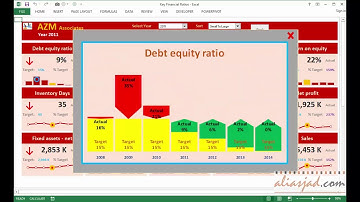 Excel Dashboard Key Financial Ratios