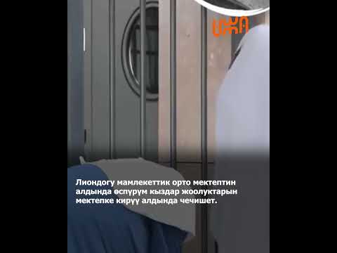 Video: Лиондогу, Франциядагы соода үчүн мыкты жерлер