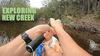 EXPLORING tiny MANGROVE CREEK | Fishing for MANGROVE JACKS in a kayak