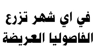 في اي شهر تزرع الفاصوليا العريضة