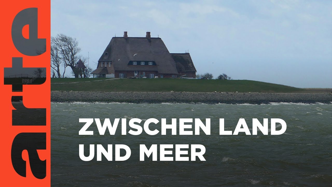 Die Halligen im Wattenmeer | Reupload | ARTE Family