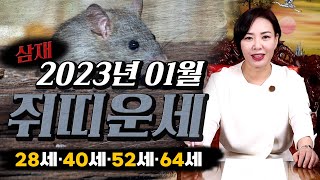 [도연사] 2023년 01월 쥐띠 운세 (28세·40세·52세·64세) 미리 조심하시고 대박나세요