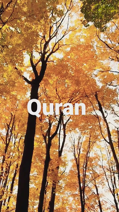 Surah Al Najm ayat 27-30