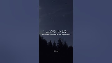 سورة العنكبوت الآيات ٥٦،٥٧،٥٨ بصوت الشيخ عبدالرحمن مسعد #قرآن #كل_نفس_ذائقة_الموت #عبدالرحمن_مسعد