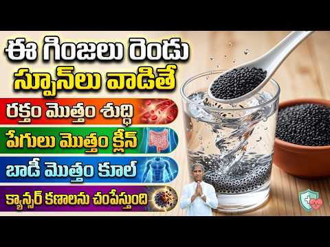 ఈ గింజలు రెండు స్పూన్ లు వాడితే ? | Sabja Basil Seeds | Dr Manthena Satyanarayana Raju Videos