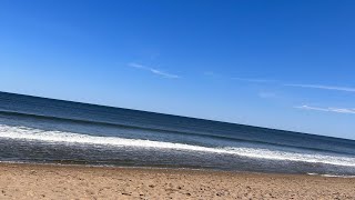 Making Random Friends @the BEACH 😎 by A Mystical Moment🌺 180 views 1 year ago 1 minute, 3 seconds