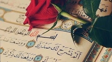 سورة النساء بصوت القارئ علاء عقل #قرآن #علاء_عقل
