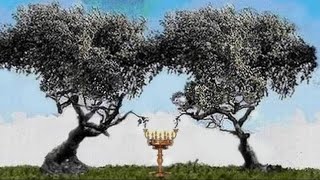 Zechariah 4 - Lampstand Between the Olive Trees