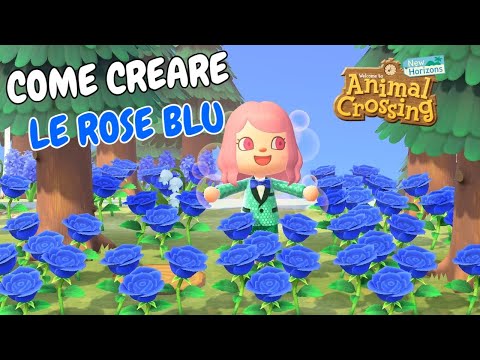 Video: Blue & Rose nere: esistono rose nere? Esistono le rose blu?