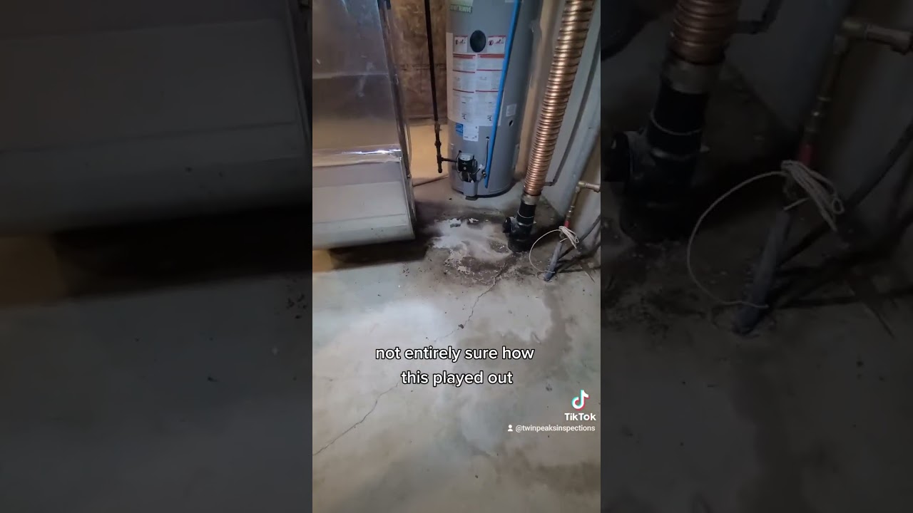 Brand new home with sewer leakage in Whitby, Ontario. 