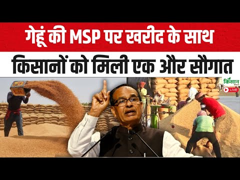 गेहूं की MSP पर खरीद के साथ किसानों को मिली एक और सौगात