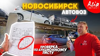 видео: Тачки из Японии в Новосибирск за 36 дней!!! картинка: Тачки из Японии в Новосибирск за 36 дней!!!