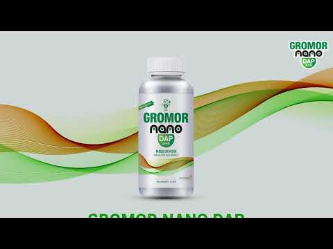 Gromor Nano DAP मुळे गव्हाचे उत्पादन खरंच वाढले का? | Yogi Shirke | वडपुरी, पुणे | Wheat Farming