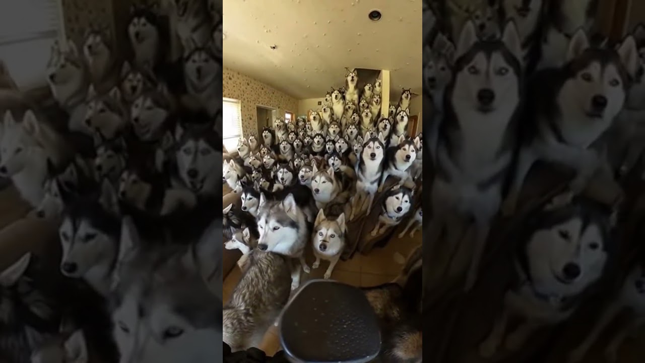 It Returned… In the Most Beautiful Scene I’ve Ever Seen! 