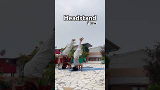 Headstand flow #strength #motivation #strengthandgrowth #lifeisbutadream #ytshorts #seo