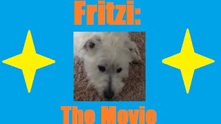 FRITZI (Low-Budget Movie Trailer)