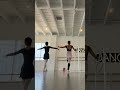 🇳🇱 fr has slowly become the highlight of my day😆 #ballet #beginner #30daychallenge