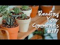 Reading Your Comments (#217) + 30,000 Subscribers!!!