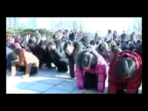 Dane Cook performs in North Korea