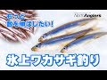 氷上ワカサギ釣りでもっと釣果を伸ばすコツ、教えます。