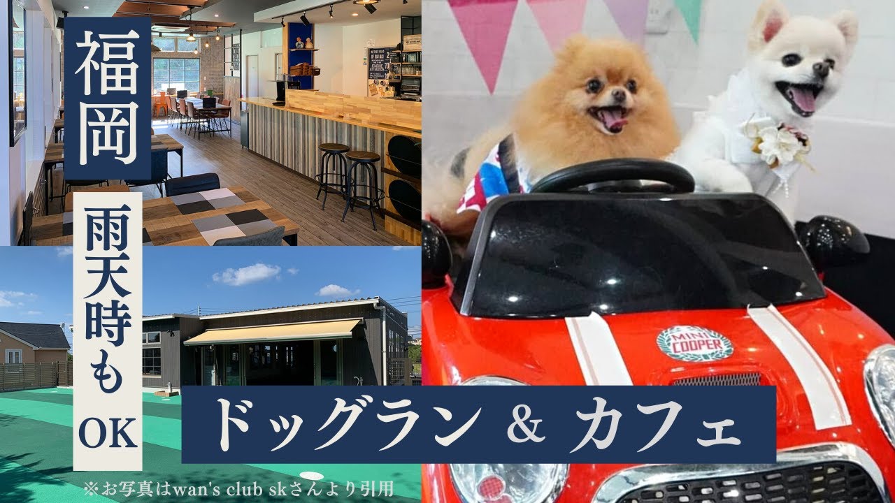 福岡 遠賀】室内＆屋外ドッグラン付きカフェ！トリミングサロンも併設
